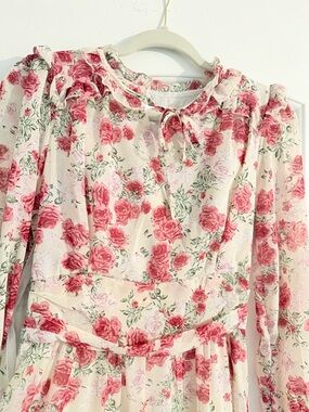 Ruffle Rose Print Dress